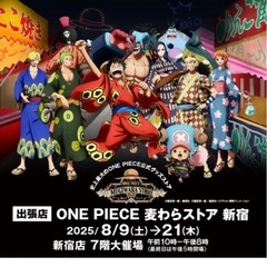 ワンピース　ファイルの画像