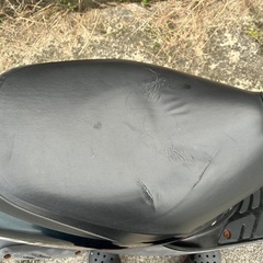 ホンダ　ライブディオSRの画像