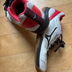 バトミントンシューズの画像