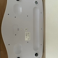 ベビースケール(訳あり)の画像