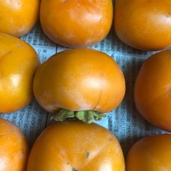【お取引決定】渋抜き済み　柿　小の画像