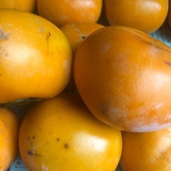 【お取引決定】渋抜き済み　柿　小の画像