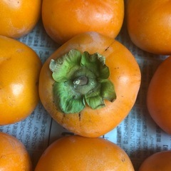 【お取引決定】渋抜き済み　柿　小の画像