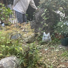 庭石　差し上げますの画像