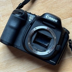 Canon EOS 10Dボディの画像