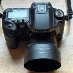 Canon EOS 10Dボディの画像