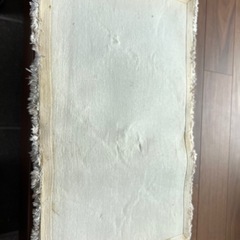 ニトリ　玄関マットの画像