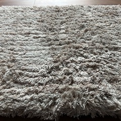 ニトリ　玄関マットの画像