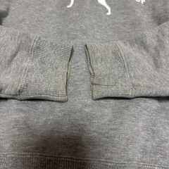 ラブラドールリトリーバー　パーカー　120の画像