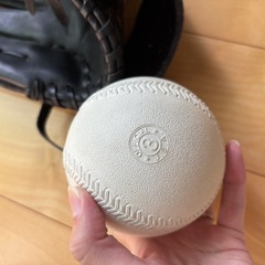 左利き用 グローブの画像