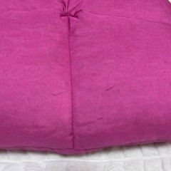 アイリスプラザ 座椅子の画像