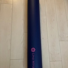 エクササイズポールの画像