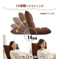 アイリスプラザ 座椅子の画像