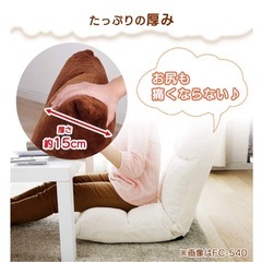 アイリスプラザ 座椅子の画像