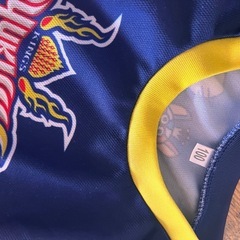 琉球ゴールデンキングスの画像