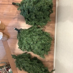 クリスマスツリーの画像