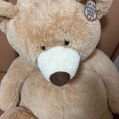 クマぬいぐるみの画像