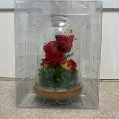 プリザーブドフラワー ガラスドームの画像