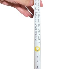 あんなに可愛い猫ですら嫌う人がいるのにみんなから好かれようなんて不可能です
の画像