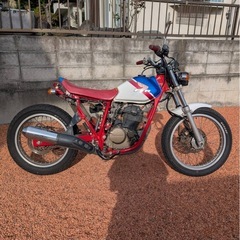 FTR250の画像