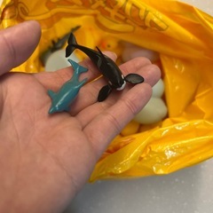 ☆11/13まで☆いろいろの画像