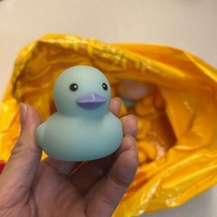 ☆11/13まで☆いろいろの画像