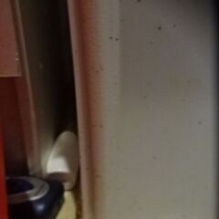 洗濯機周りなどのコーナー棚の画像