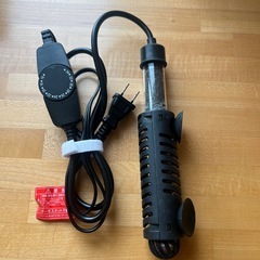 熱帯魚飼育の画像