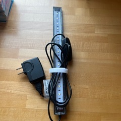 熱帯魚飼育の画像