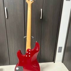 アイバニーズGATK20
の画像