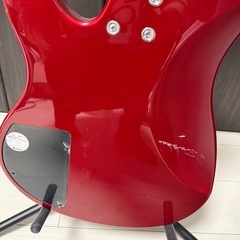 アイバニーズGATK20
の画像