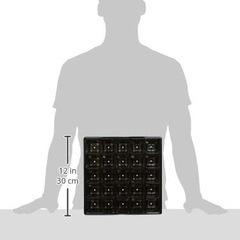 育苗ポット６枚の画像