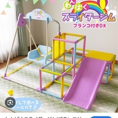 わんぱくスライダージムの画像