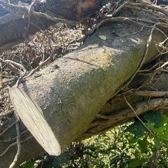 薪ストーブ　薪　キャンプ　マキの画像