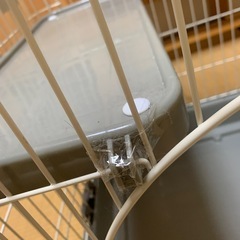 子猫用２段ケージの画像