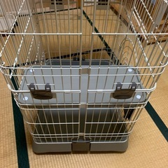 子猫用２段ケージの画像