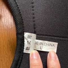 ミズノ審判用プロテクターの画像