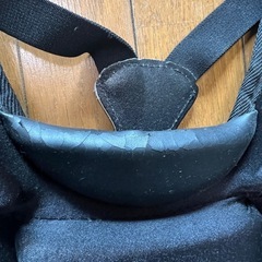 ミズノ審判用プロテクターの画像