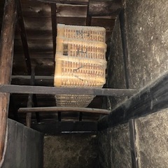 花桶もらって下さい。の画像