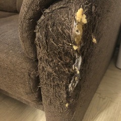 ニトリ　2人掛けソファ 布張りタイプ (ナルタ 布KD BR)の画像