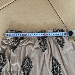 ロングスカートの画像