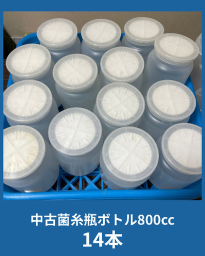 菌糸ボトル 800 44本 菌糸ボトル500cc 120本 透明プラスチック幼虫飼育