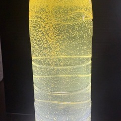 タイリクミジンコの画像