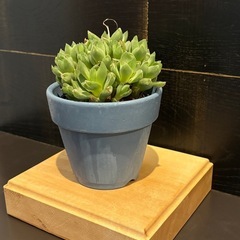 台座　フィギュア台　飾り台の画像