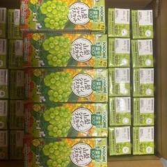 ②カゴメ野菜生活100 山梨シャインマスカット45本の画像