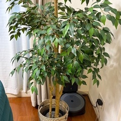 【センター南駅)IKEA人口観葉植物　フェイカの画像