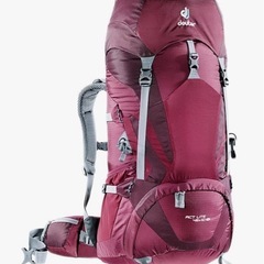 Deuter バックパックの画像