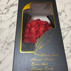 「お渡し者決定｣ブルーインパルス、バラセットの画像