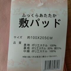 ◆ふっくらあたたか　敷バッド　未使用保管品◆NO1の画像