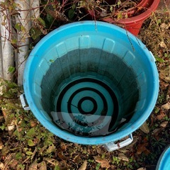 大きいポリバケツ　無料の画像